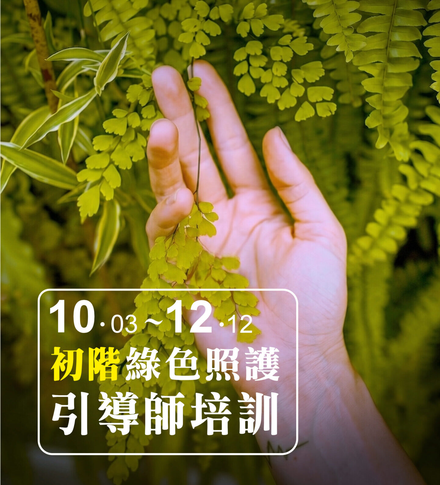 Read more about the article 2026年度第2期【初階綠色照護引導師培訓】開放報名